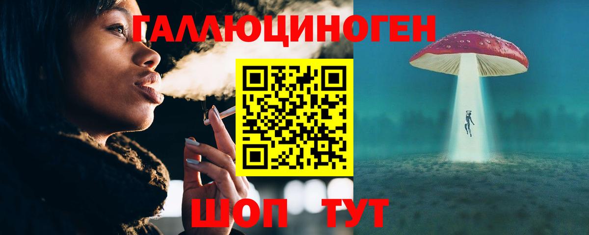 Псилоцибиновые грибы GOLDEN TEACHER  Псилоцибиновые грибы MAGIC MUSHROOMS  Вход с VPN  где купить наркоту  Кизляр 